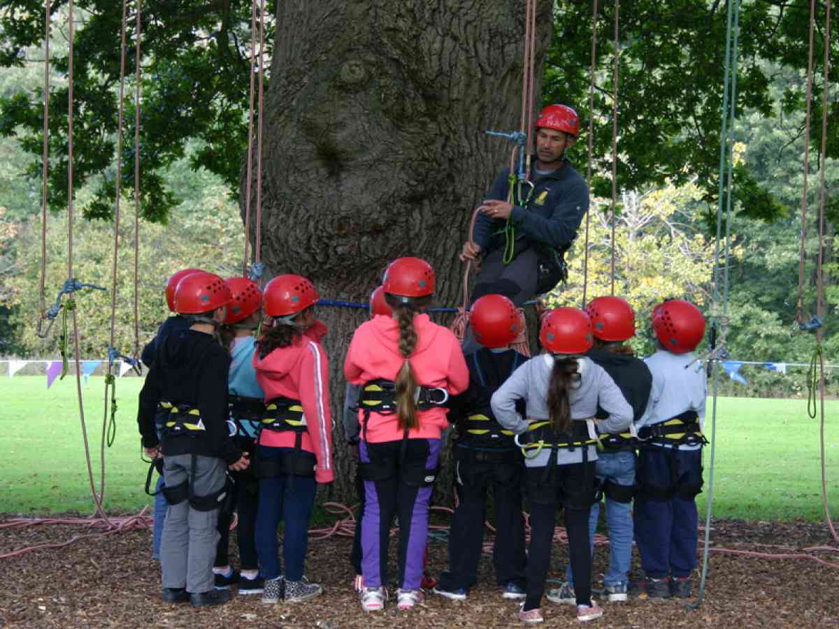Goodleaf Tree Climbing picture gallery